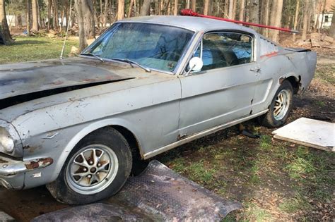 Rally Potential: 1965 Mustang Fastback