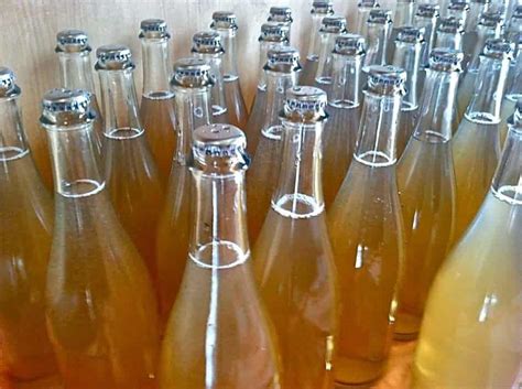 Cider Style 101: Sidra—Hard Cider with Spanish Flair - Cider Culture