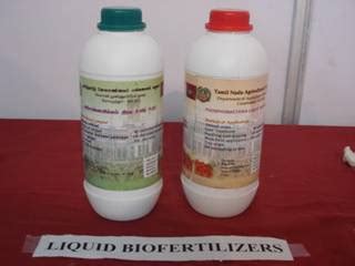 Application of Biotechnology in Agriculture: Bio fertilizers and Bio pesticides