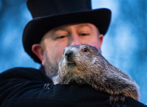 ¿Qué es el Día de la Marmota y qué "predijo" Punxsutawney Phil para ...