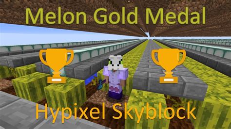 gold medal melon farming hypixel skyblock - YouTube