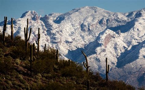 Tucson Arizona: Qué hacer en la ciudad de los Cowboys【2024