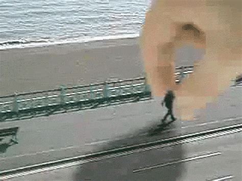 Funny Loop GIFs - Find & Share on GIPHY