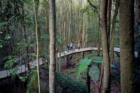 You Can Hang out with Dinosaurs in the Blue Mountains This Summer ...