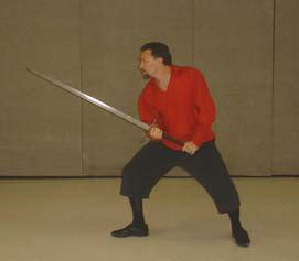 A Brief Look at Stances & Guards of Medieval Longsword