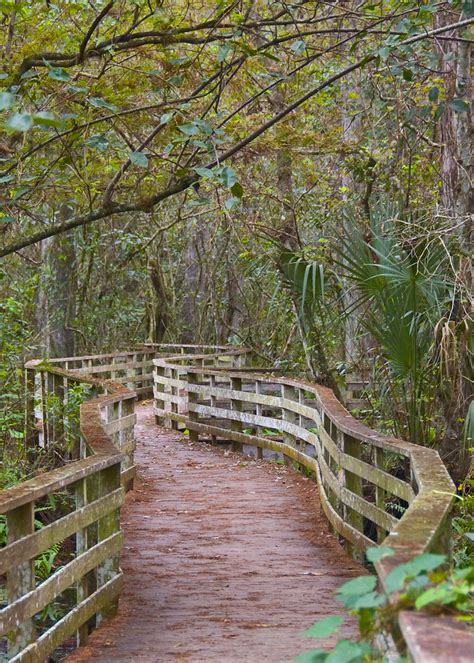 Corkscrew Swamp Sanctuary | sofia.usgs.gov/virtual_tour/cork… | Flickr