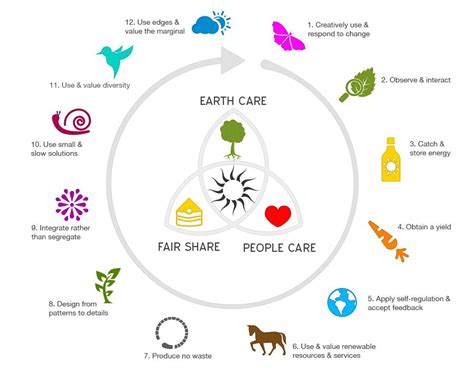 Image result for permaculture | Permaculture, Permaculture principles, Infographic