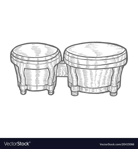 Bongo in hand-drawn style Royalty Free Vector Image