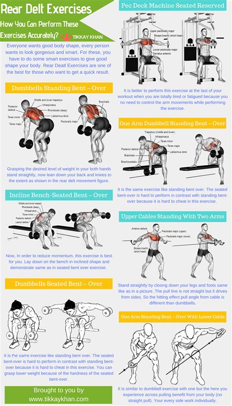 Rear Dealt Exercises how you can peform these exercises accurately?