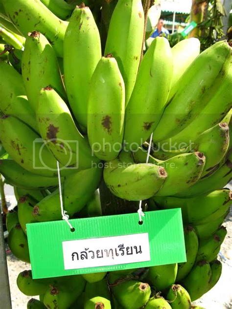 Hundreds varieties of banana in Thailand