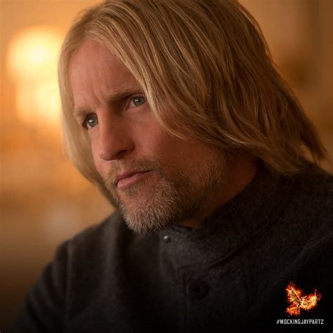 Haymitch Abernathy - The Hunger Games Photo (39203205) - Fanpop