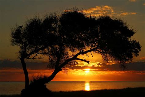 Six new state parks will be opening in Texas, officials say