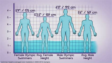 Does Swimming Make You Taller | Swim Your Way to Height