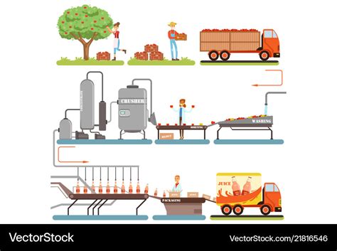 Juice production process stages factory producing Vector Image