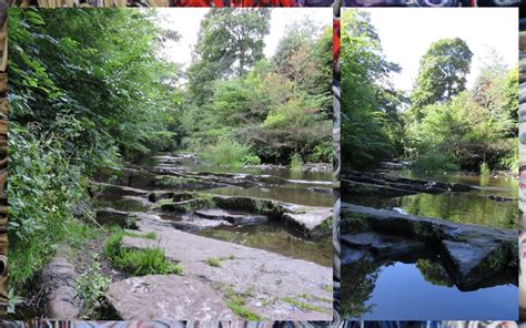 Walk the Water of Leith in Edinburgh: 8 Cool Things You Can See