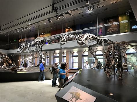 Dinosaur Hall at Natural History Museum | Tom Chatt | Flickr