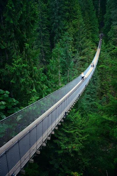 Capilano Suspension Bridge — Stock Photo © rabbit75_dep #106032718