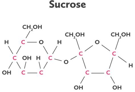 Sucrose molecule | Biology curriculum, Molecules, Chemical bond