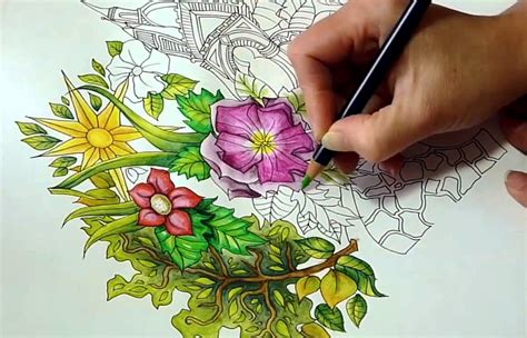 Adult Coloring for Beginners - Adult Coloring Masterpiece