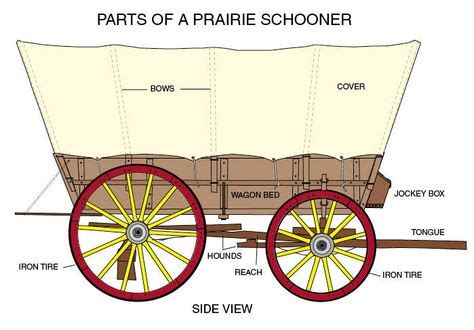 Diagram of a Covered Wagon with parts labeled | Covered wagon, Horse wagon, Old wagons