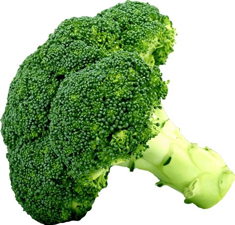 Broccoli clipart, Broccoli Transparent FREE for download on WebStockReview 2024