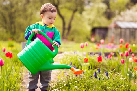 Helping With Chores At Home Chores For Kids - The Art of Images