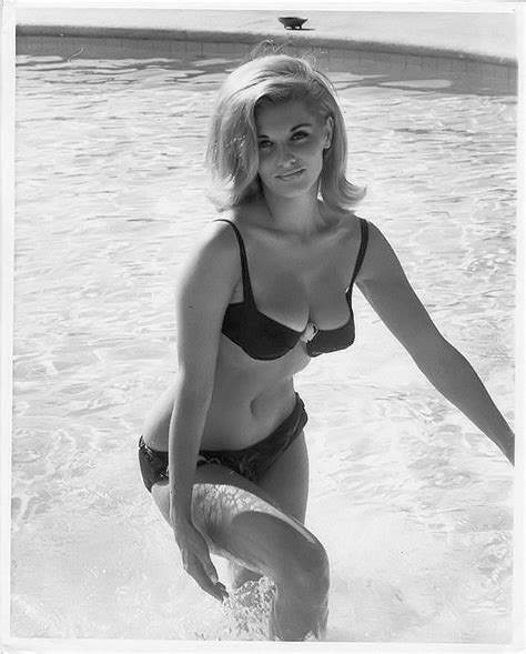 Nancy Kovack, 60s summer style. Classic Actresses, Beautiful Actresses, Actors & Actresses ...