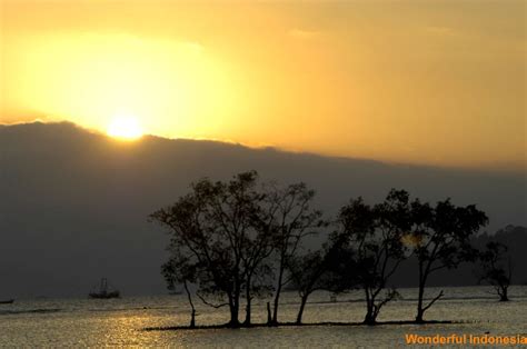 5 Beaches in Lampung with Coral Themed – Visit Indonesia – The Most ...