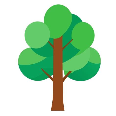 Premium Vector | Birch tree vector graphic in vectorized flat style