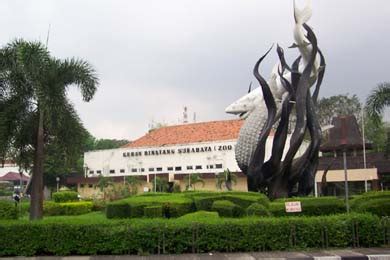 Surabaya Zoo | East Java Vacation Packages