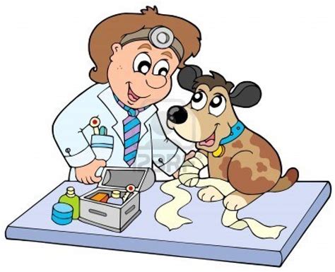 Les millors professions: Veterinari-veterinària