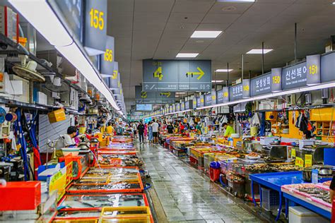 JAGALCHI FISH MARKET IN BUSAN - 8 BEST THINGS TO SEE