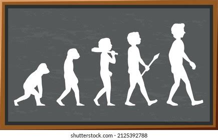 Stages Human Evolution Cartoon Character Illustration 库存矢量图（免版税 ...