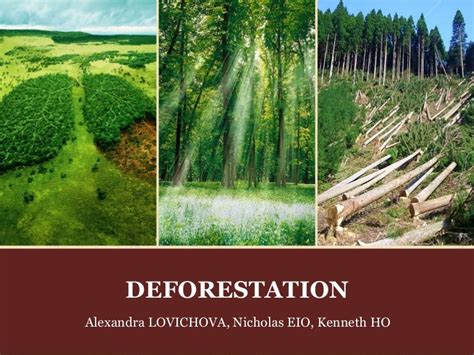 Deforestation Presentation