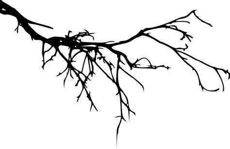 12 Tree Branch Silhouette (PNG Transparent) Vol. 3 | OnlyGFX.com