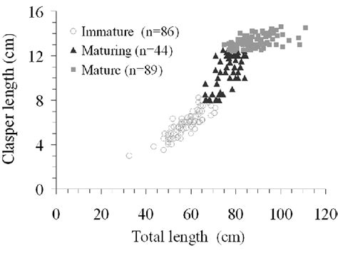 -relationship between clasper length and total length for immature,... | Download Scientific Diagram