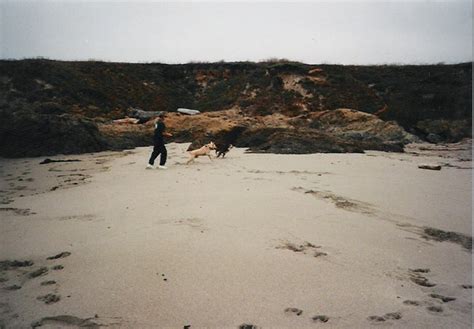 CA Fort Bragg Beaches | jcparks.net