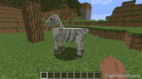 How to Tame and Ride a Skeleton Horse in Minecraft