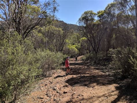 Avon Valley National Park - Unamed Road, Avon Valley National Park WA 6073, Australia