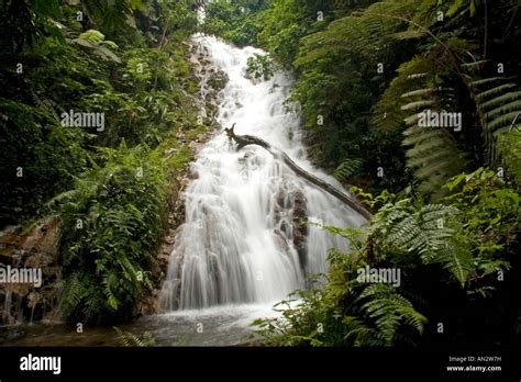 jungle Waterfall, Bwindi Stock Photo - Alamy