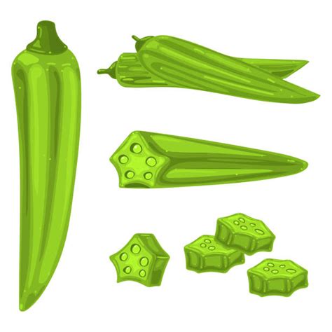 Okra Illustrations, Royalty-Free Vector Graphics & Clip Art - iStock