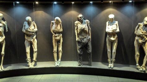 Mummies Museum in Guanajuato, MX Mummy Museum, Death, Mexico, Statue, Travel, Fictional ...