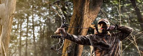 Maintain your Compound bow: Tips and Hacks | by Amanda | Medium