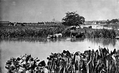 "Capitol as seen from the marsh, Anacostia River" JK Hillers 1880s ...