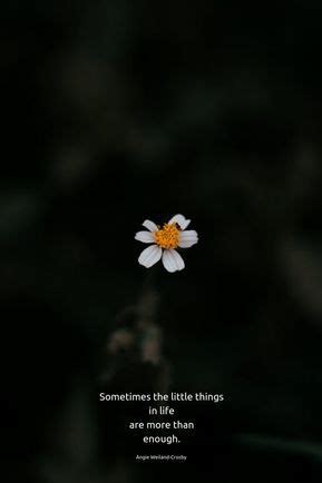 Funny Flower Quotes - ShortQuotes.cc