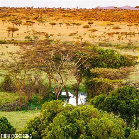 Masai Mara Ecosystem | Wildlife, Culture and Conservation