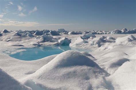 Calentamiento global: preocupan las altas temperaturas que se registran en el Polo Norte