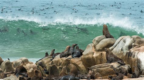 Discover 16 Skeleton Coast in Namibia Major Attractions 2024