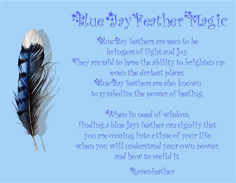 Blue Jay feather magic *Please check your local and federal guidelines ...