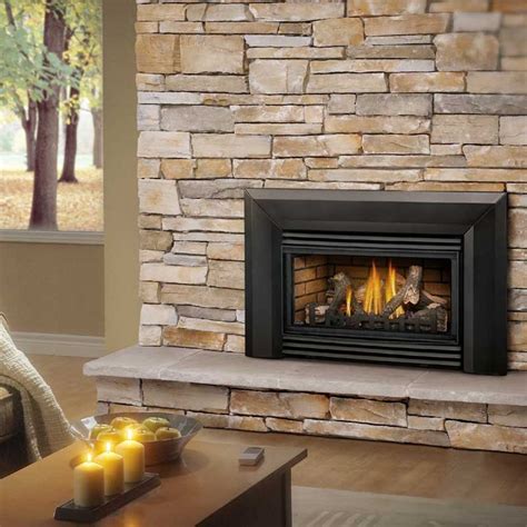 Napoleon Roxbury 30 Gas Fireplace insert